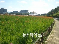 통영시, 도남관광지 야생화 피는 힐링도시 공간 조성