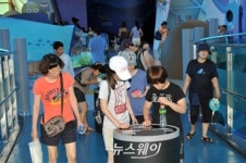 목포어린이바다과학관, 과학문화민간활동지원 사업기관 선정