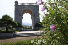 [NW포토]서재필 기념공원에 무궁화 꽃 활짝