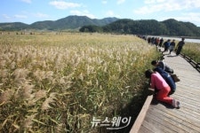 [특집]한가위 연휴는 정원의 도시 순천에서~
