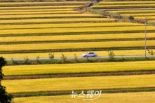 [NW포토]화순 이서 영평 가을정취