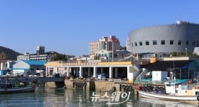 완도항에 수산물산지거점유통센터 건립