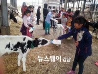 하동군, 청소년동반자 대상 옥종 금와목장서 낙농체험