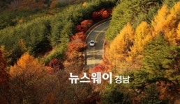 [NW포토]산청 밤머리재 고갯길 가을단풍 절정