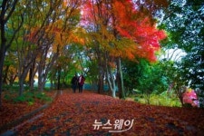 [NW포토]여수 자산공원의 만추