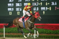 대로 4형제, 44승 합작 우승상금만 55억 경주마 명가