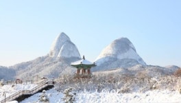 진안군 ‘마이산휴게소 전망대’서  2015 해맞이 행사