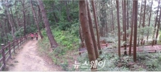 화순 만연산 치유의 숲 탐방객 ‘각광’