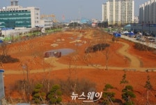 목포 북항동 일원 맹꽁이 도심 생태복원사업 완료