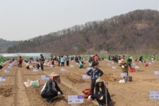 수성구청, 5일까지 친환경 공영 주말농장 분양
