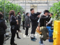 통영시, 설맞이 농ㆍ특산물 마케팅 위한  파워블러거 팸투어