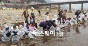 하동군, 화개천·횡천천에 어린 연어·은어 방류