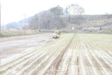 고흥군, 죽암농장 전국 최초 대규모 벼 2모작 모내기