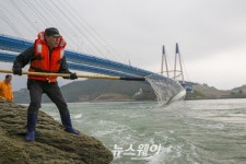 해남 울돌목에 뜰채 숭어잡이 시작