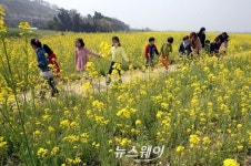 광주 북구, 산동교 친수공원에 ‘억새군락지’ 조성