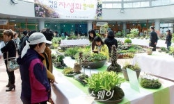 “아름다운 우리 꽃, 향기로운 자생차 즐겨요”