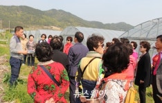 수도권 도시민 1박2일 진도 농업·농촌현장 체험