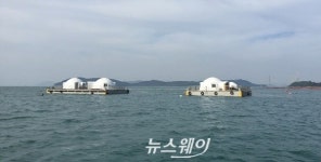 고흥 거금도, 거금 해양 낚시공원 6월 개장