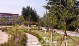 곡성군, 죽곡초교에 아름다운 숲 조성