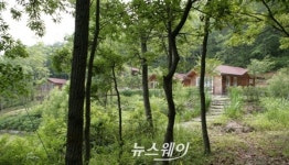 임실 ‘참나무숲 속’ 세심자연휴양림 새 단장