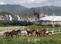 장수 국제승마장, 하반기 전국승마대회 유치 총력