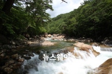 여름휴가, 청정 산청 지리산 계곡으로 오세요~