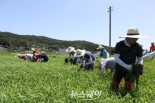 전남개발공사, 4년째 마을기업 지원