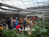경남지역 예비귀농인 하동서 선도농가 현장체험