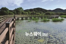 ‘겨울철 최적 힐링여행지’ 합천에서 낭만을 만끽하세요~