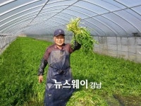 창녕군, 화왕산 ‘봄미나리’로 봄 향기 체험하러 오세요~