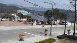 거창군 위천면 시가지, 봄꽃 향기로 가득