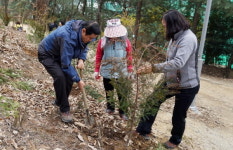 수성구 “피톤치드 가득한 힐링 명소 오세요”