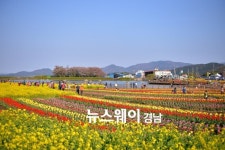 남해 장평소류지에서 튤립의 향연에 빠져보세요