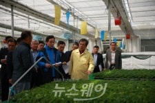 이낙연 전남도지사, 곡성군 영농현장 방문