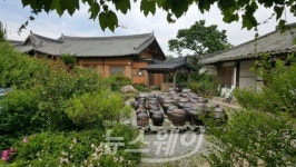 담양군 ‘매화나무집’, 농림축산식품부 지정 ‘우수농가민박’ 선정