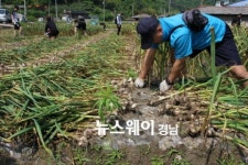 진주시 농촌일손돕기에 군·관 나섰다