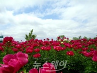 화순군, 산림소득증대사업 10억 지원
