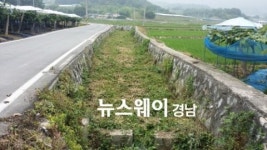 거창군 운평마을 장마철 대비 소하천 풀베기 사업 전개