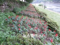 하동 횡천면, 사계절 꽃 피는 아름다운 고장으로 거듭나