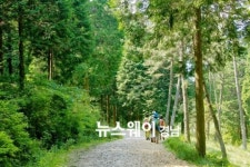 고성군, “갈모봉 삼림욕장에서 몸과 마음을 치유하세요”