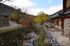 올 여름 휴가는 치유의 땅 전남서 산사기행을