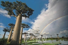 장성공공도서관, 청춘인문학 9월 특강 진행