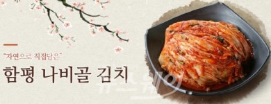 함평나비골김치, 명품김치 홈쇼핑 진출 화제