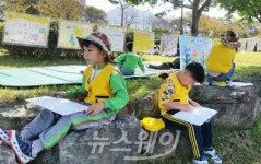 장성군, 노란 꽃밭에 앉아 “고흐가 되어 볼까요