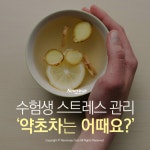 [카드뉴스] 수험생 스트레스 관리 ‘약초차는 어때요?’