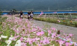 자)구례세진관광여행사자 | ‘국민 여행만족도’ 높은 구례로 놀러 오세요~