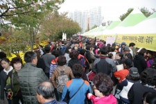 익산 천만송이 국화축제 관광객 몰려 연일 대성황