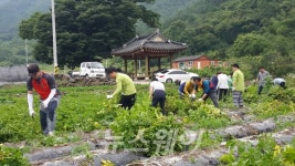 곡성군, 농가 일손돕기 앞장! 실질적인 도움이 되길