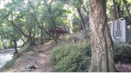 부안군 서림공원·임정유애비 산림청 국가산림문화자산 지정