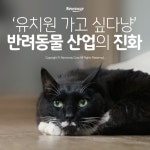[카드뉴스] ‘유치원 가는 고양이’…반려동물 산업의 진화